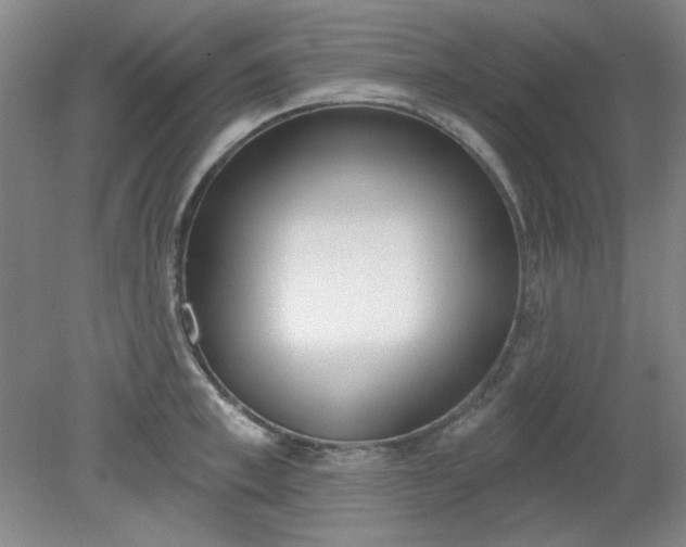 X0000079310997200612011811