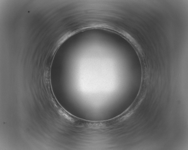 X0000079311001200612011811