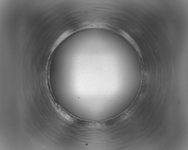X0000079311002200612011811