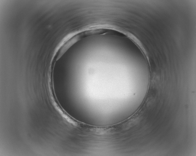 X0000079311005200612011811