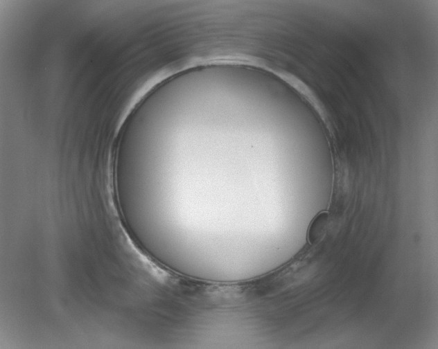 X0000079311006200612011811