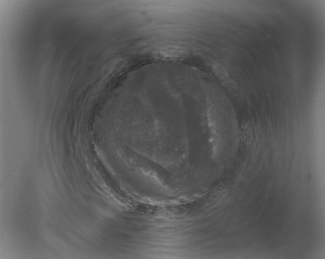 X0000079311009200612011810