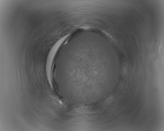 X0000079311010200612011810