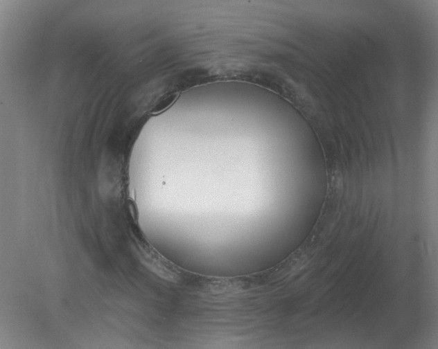 X0000079311012200612011810