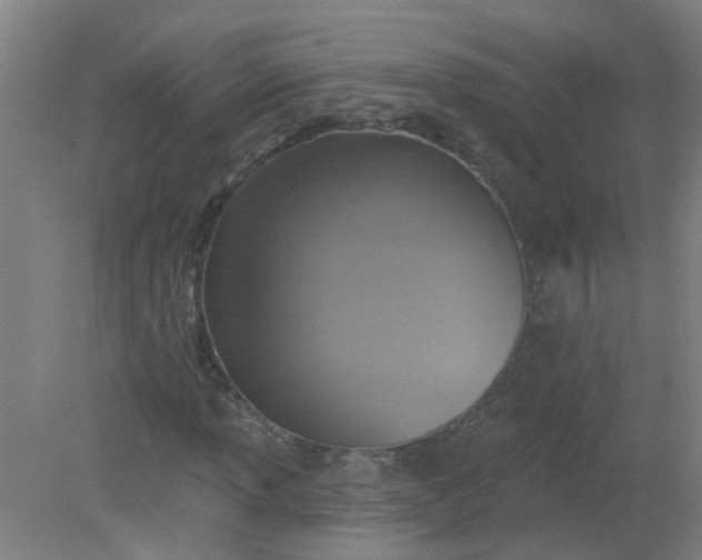 X0000079311013200612011810