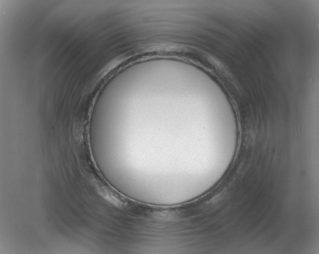 X0000079311017200612011811