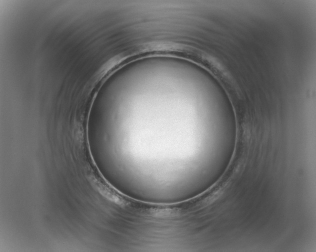 X0000079311025200612011811