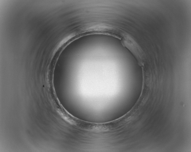 X0000079311026200612011811