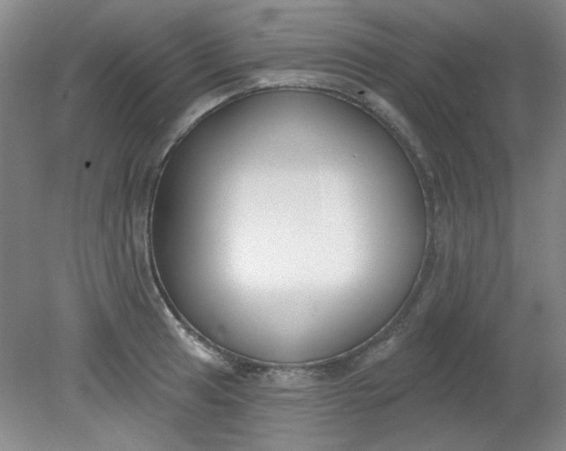 X0000079311041200612011811