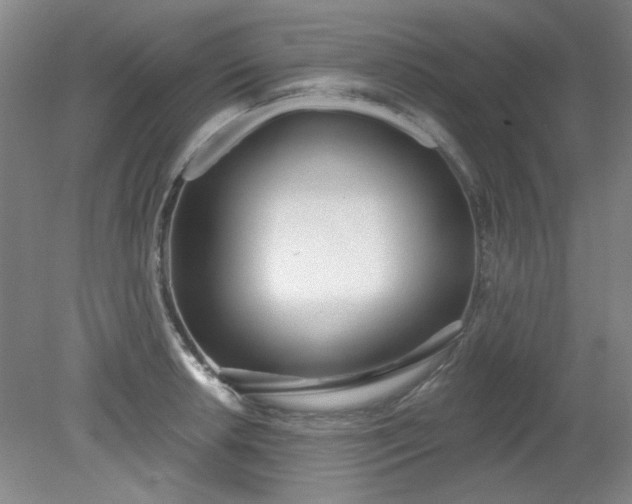 X0000079311042200612011811