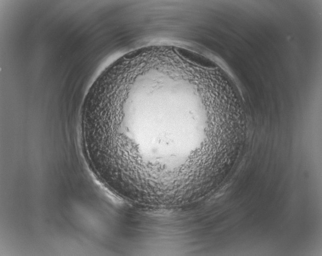 X0000079311048200612011811