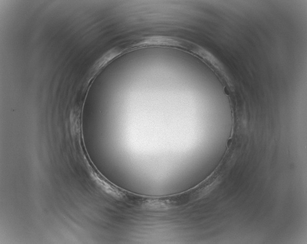 X0000079311049200612011811