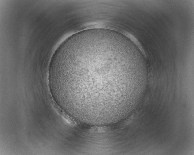 X0000079311051200612011811