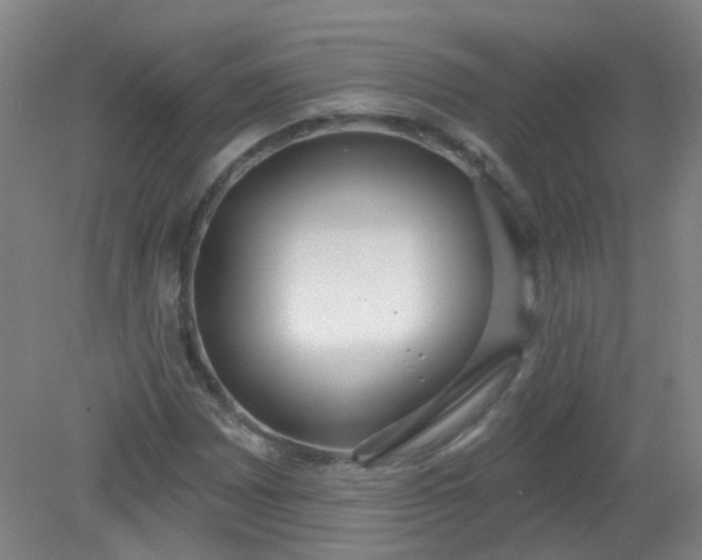 X0000079311065200612011810