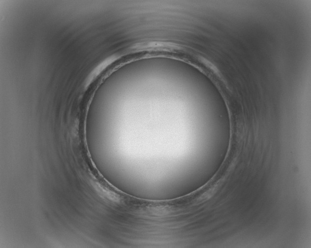 X0000079311066200612011810