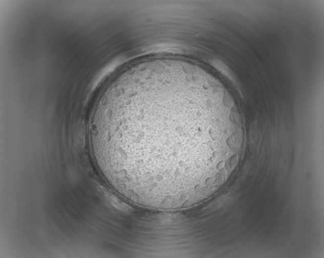 X0000079311067200612011810