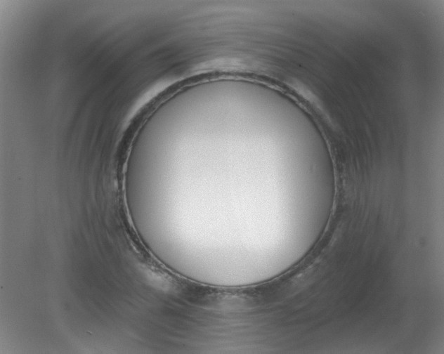 X0000079311070200612011810