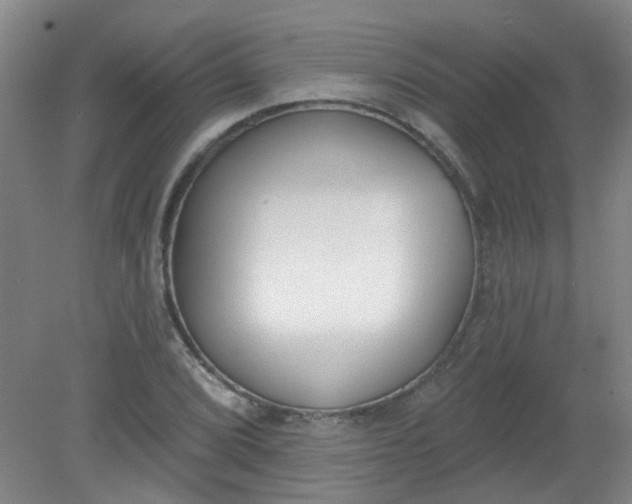 X0000079311072200612011810