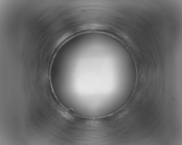 X0000079311073200612011810