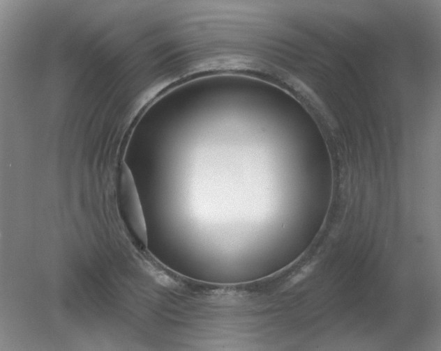 X0000079311081200612011810