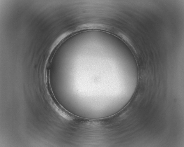 X0000079311082200612011810