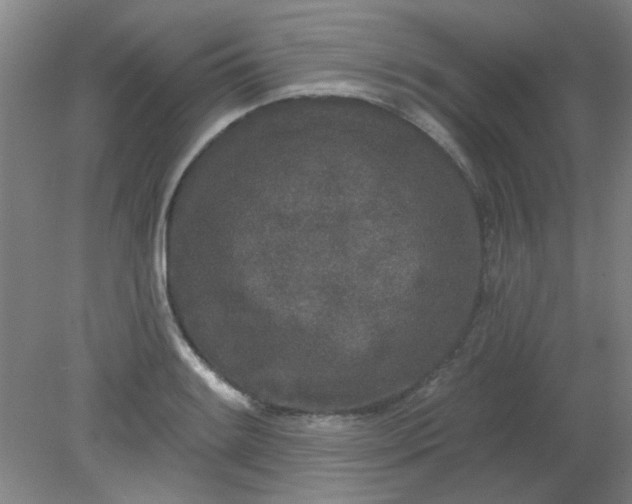X0000079311084200612011810
