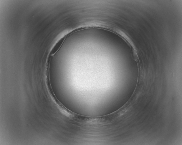 X0000079311093200612011810