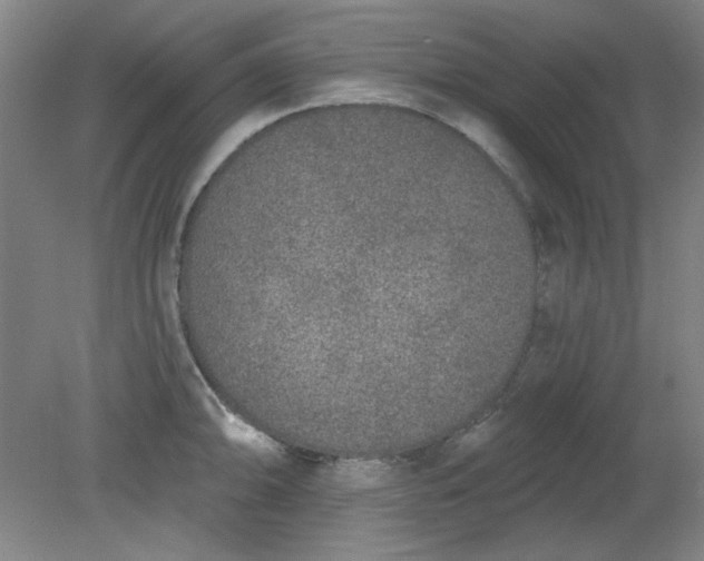 X0000079311094200612011810