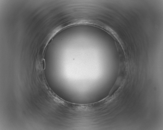 X0000079311097200612011810