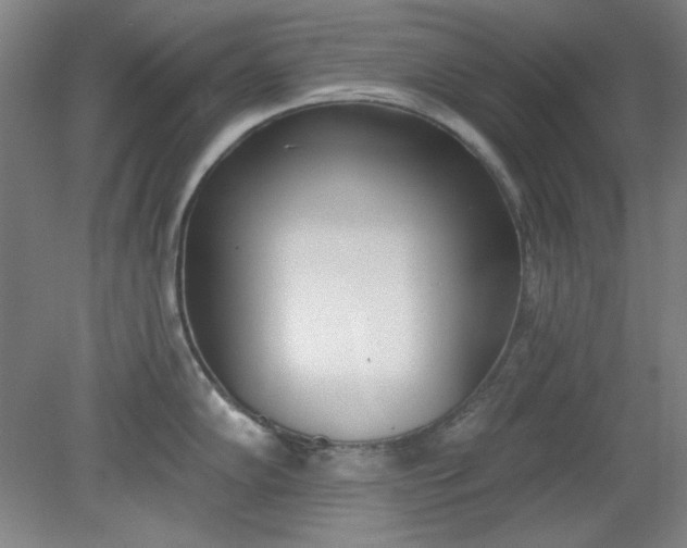 X0000079311102200612011810