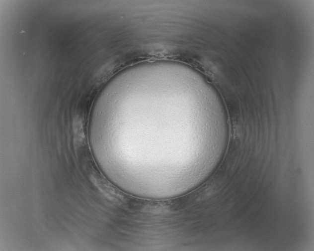 X0000079311106200612011809