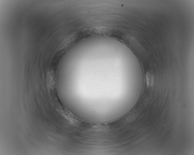 X0000079311107200612011809