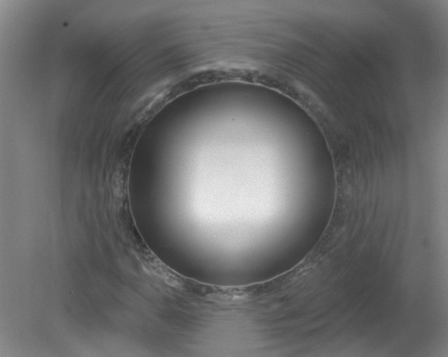 X0000079311110200612011809