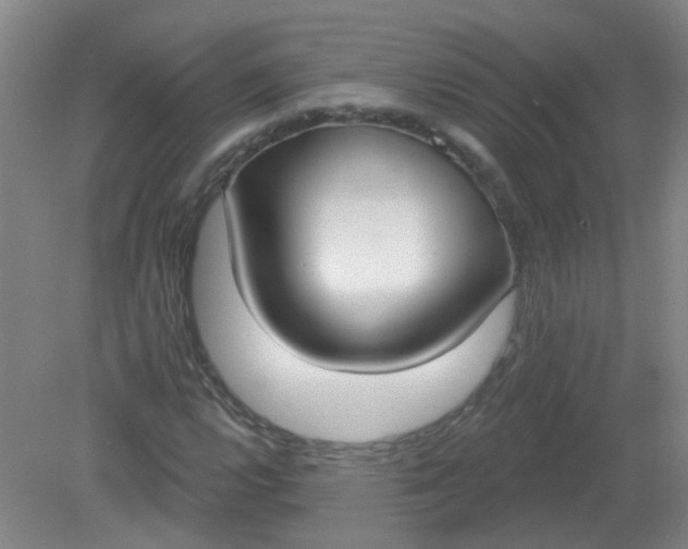 X0000079311112200612011809