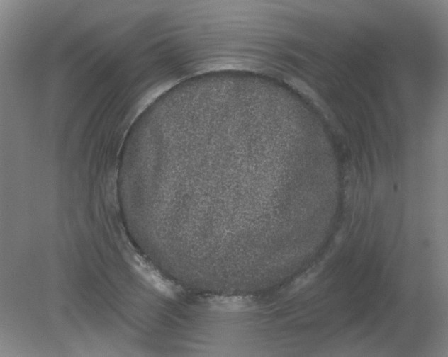 X0000079311121200612011809
