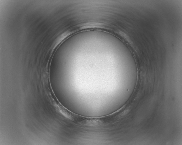 X0000079311129200612011809