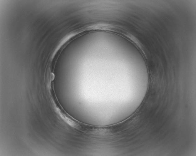 X0000079311131200612011809