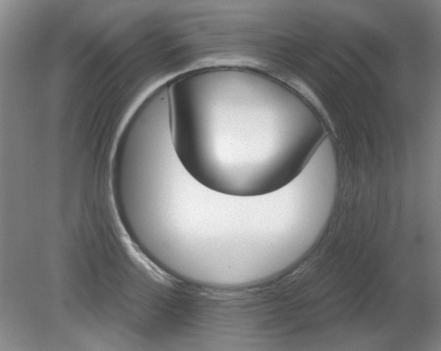 X0000079311132200612011809
