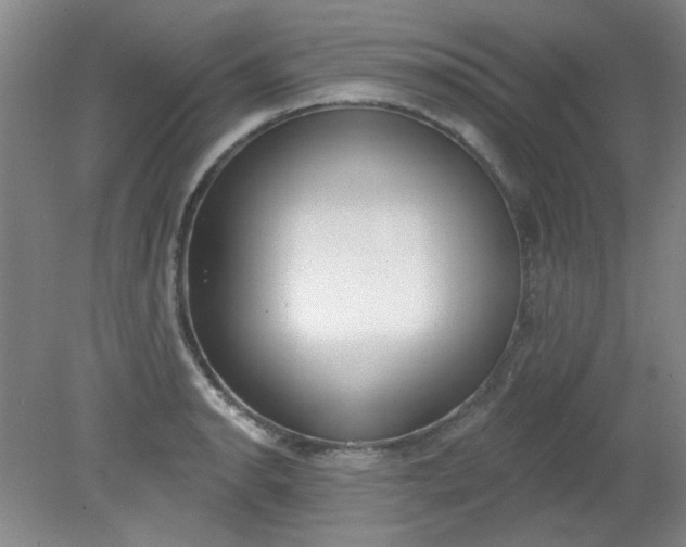 X0000079311134200612011809