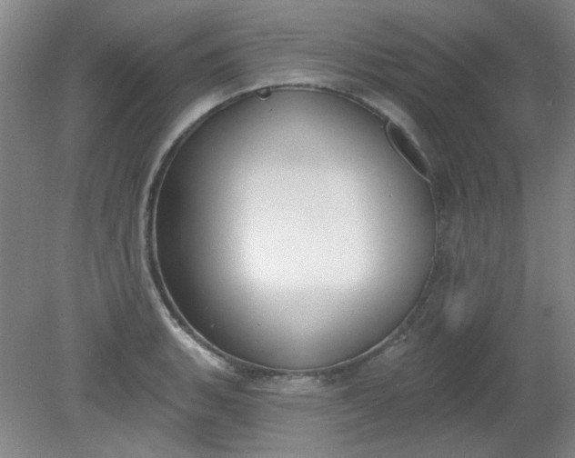 X0000079311135200612011809
