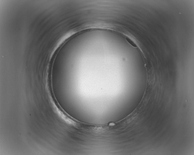 X0000079311139200612011809