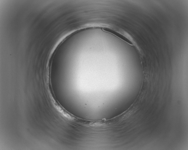 X0000079311140200612011809