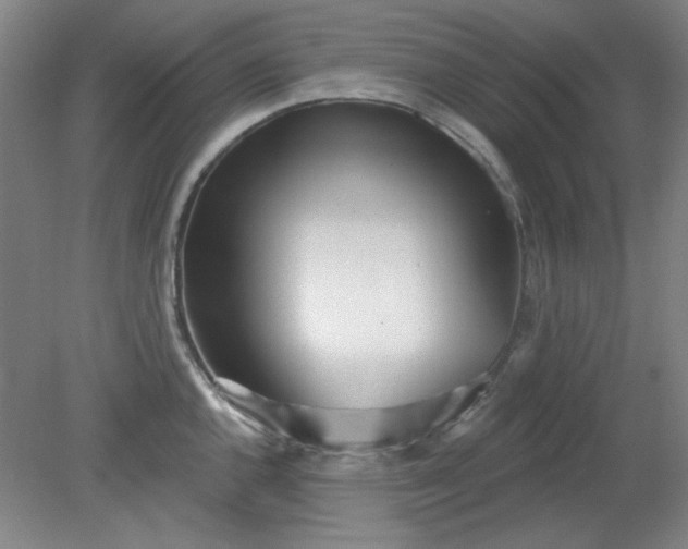 X0000079311144200612011809