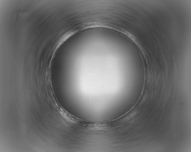 X0000079311145200612011809