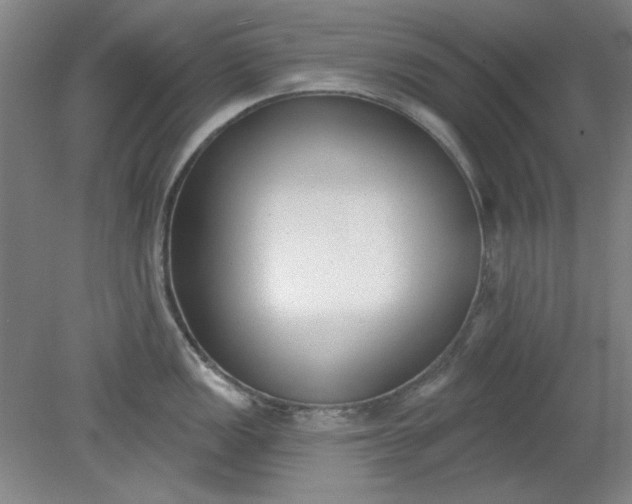 X0000079311149200612011809