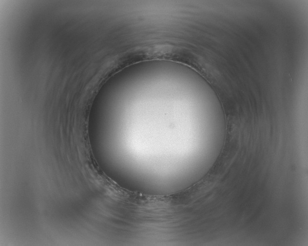 X0000079311153200612011809