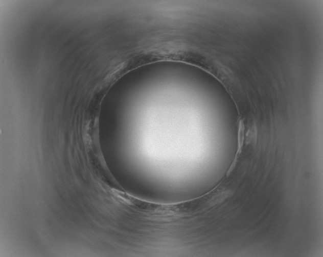 X0000079311156200612011809