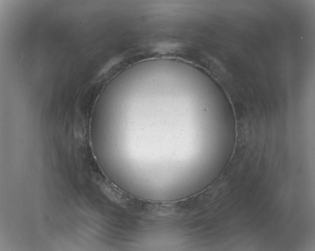 X0000079311158200612011809