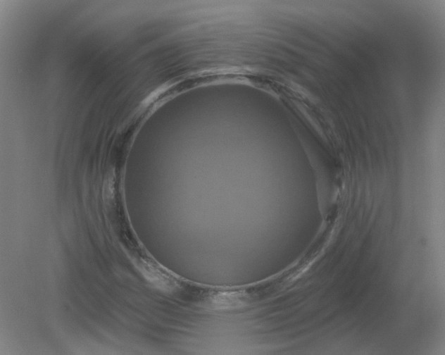 X0000079311161200612011809