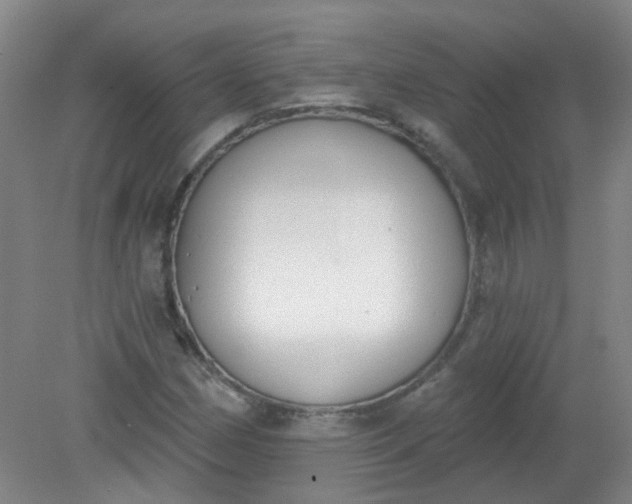 X0000079311162200612011809